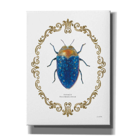 Image of 'Adorning Coleoptera V' by James Wiens, Canvas Wall Art,12x16x1.1x0,20x24x1.1x0,26x30x1.74x0,40x54x1.74x0
