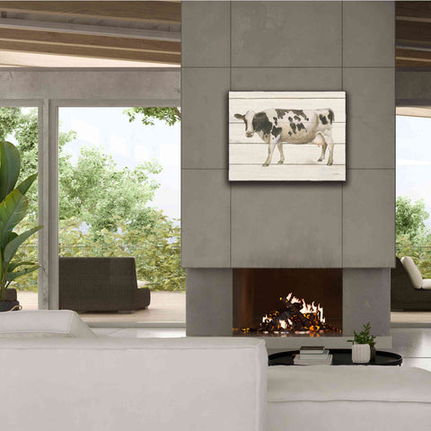 Image of 'Country Cow VI' by James Wiens, Canvas Wall Art,34 x 26