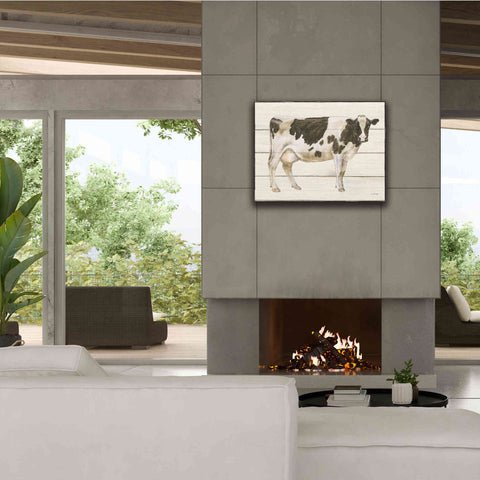 Image of 'Country Cow VII' by James Wiens, Canvas Wall Art,34 x 26