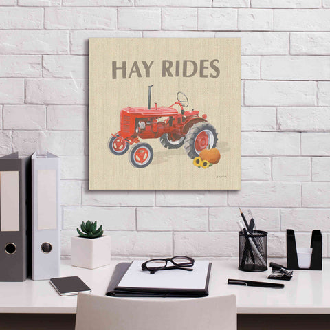 Image of 'Heartland Harvest Moments V' by James Wiens, Canvas Wall Art,18 x 18