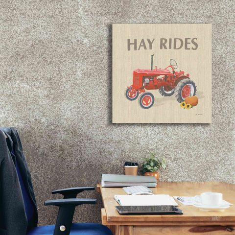 Image of 'Heartland Harvest Moments V' by James Wiens, Canvas Wall Art,26 x 26