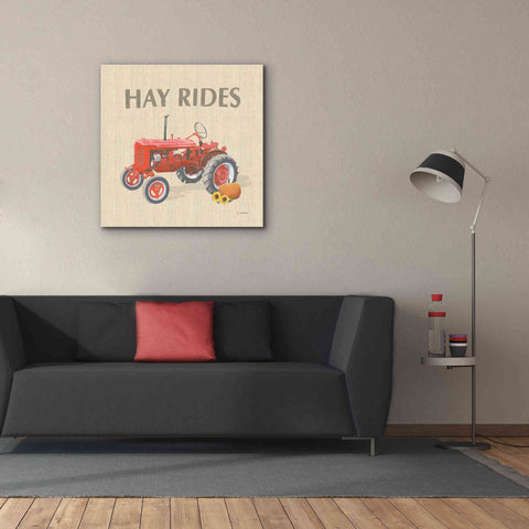 Image of 'Heartland Harvest Moments V' by James Wiens, Canvas Wall Art,37 x 37