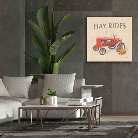 Image of 'Heartland Harvest Moments V' by James Wiens, Canvas Wall Art,37 x 37