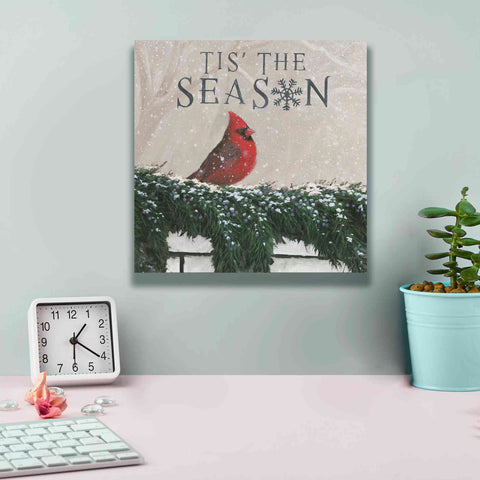 Image of 'Christmas Affinity X' by James Wiens, Canvas Wall Art,12 x 12