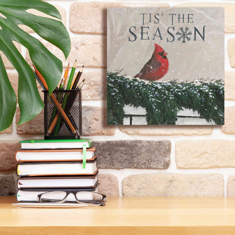 Image of 'Christmas Affinity X' by James Wiens, Canvas Wall Art,12 x 12