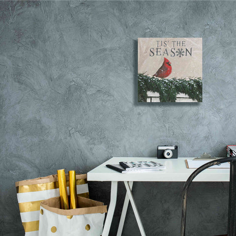 Image of 'Christmas Affinity X' by James Wiens, Canvas Wall Art,12 x 12