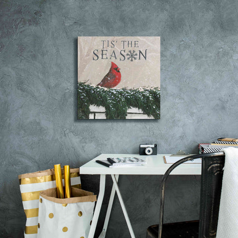 Image of 'Christmas Affinity X' by James Wiens, Canvas Wall Art,18 x 18