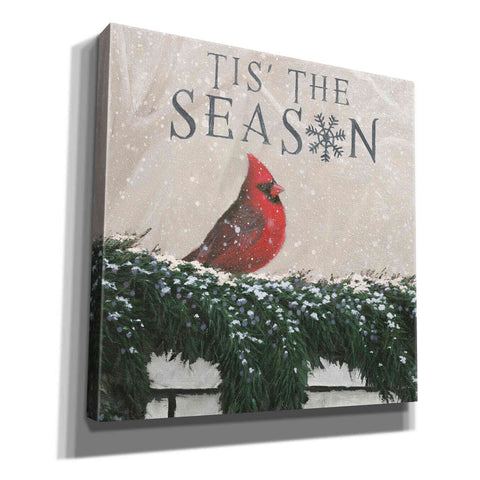 Image of 'Christmas Affinity X' by James Wiens, Canvas Wall Art,12x12x1.1x0,18x18x1.1x0,26x26x1.74x0,37x37x1.74x0