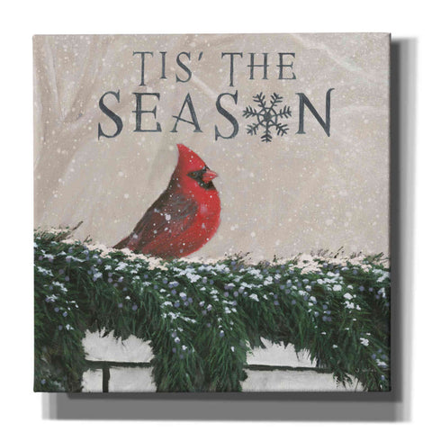 Image of 'Christmas Affinity X' by James Wiens, Canvas Wall Art,12x12x1.1x0,18x18x1.1x0,26x26x1.74x0,37x37x1.74x0