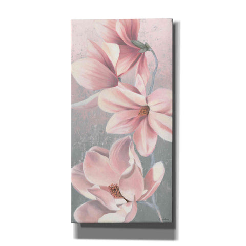 Image of 'Sunrise Blossom II' by James Wiens, Canvas Wall Art,12x24x1.1x0,20x40x1.74x0,30x60x1.74x0