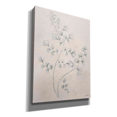 Image of 'Soft Summer Sketches IV' by James Wiens, Canvas Wall Art,12x16x1.1x0,20x24x1.1x0,26x30x1.74x0,40x54x1.74x0