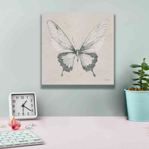 Image of 'Soft Summer Sketches V' by James Wiens, Canvas Wall Art,12 x 12