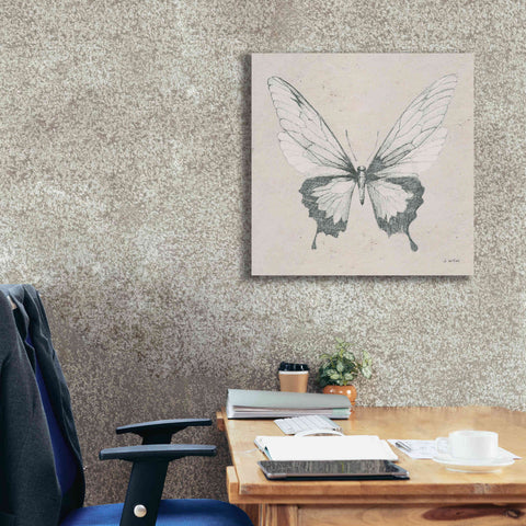 Image of 'Soft Summer Sketches V' by James Wiens, Canvas Wall Art,26 x 26