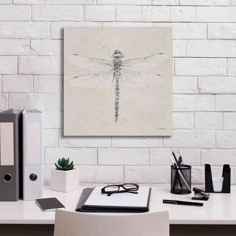 Image of 'Soft Summer Sketches VI' by James Wiens, Canvas Wall Art,18 x 18