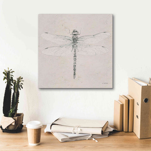 Image of 'Soft Summer Sketches VI' by James Wiens, Canvas Wall Art,18 x 18