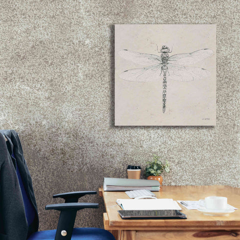 Image of 'Soft Summer Sketches VI' by James Wiens, Canvas Wall Art,26 x 26