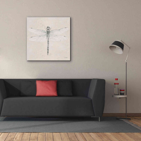 Image of 'Soft Summer Sketches VI' by James Wiens, Canvas Wall Art,37 x 37