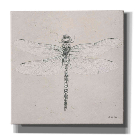 Image of 'Soft Summer Sketches VI' by James Wiens, Canvas Wall Art,12x12x1.1x0,18x18x1.1x0,26x26x1.74x0,37x37x1.74x0