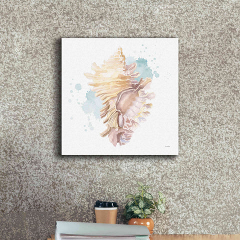 Image of 'Salento Coast IV' by James Wiens, Canvas Wall Art,18 x 18