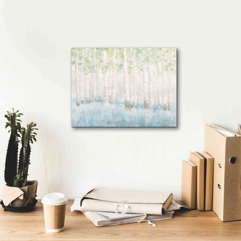 Image of 'Soft Birches' by James Wiens, Canvas Wall Art,16 x 12