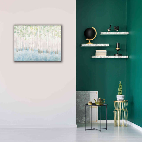 Image of 'Soft Birches' by James Wiens, Canvas Wall Art,34 x 26