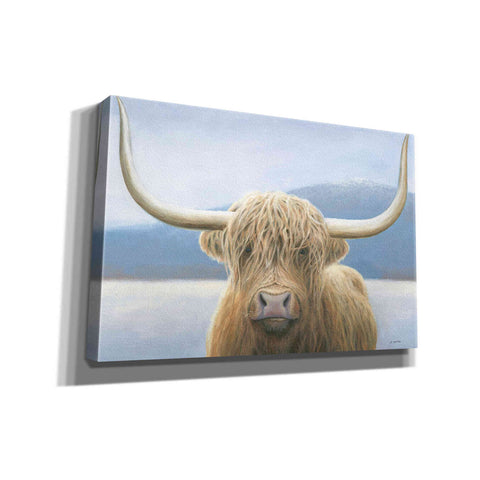 Image of 'Highland Cow' by James Wiens, Canvas Wall Art,18x12x1.1x0,26x18x1.1x0,40x26x1.74x0,60x40x1.74x0
