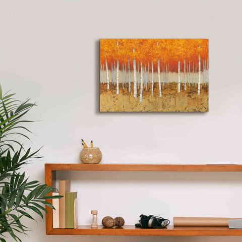 Image of 'Autumn Birches' by James Wiens, Canvas Wall Art,18 x 12