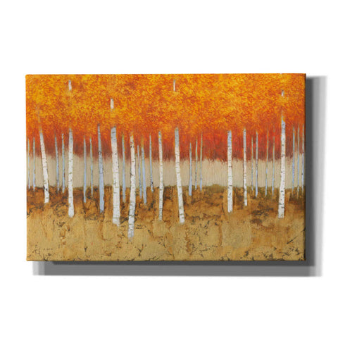 Image of 'Autumn Birches' by James Wiens, Canvas Wall Art,18x12x1.1x0,26x18x1.1x0,40x26x1.74x0,60x40x1.74x0