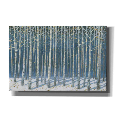 Image of 'Shimmering Birches' by James Wiens, Canvas Wall Art,18x12x1.1x0,26x18x1.1x0,40x26x1.74x0,60x40x1.74x0