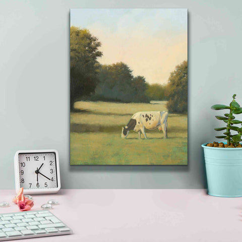 Image of 'Morning Meadows I' by James Wiens, Canvas Wall Art,12 x 16