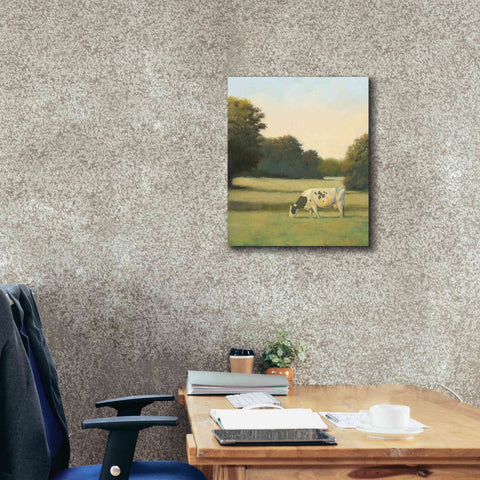 Image of 'Morning Meadows I' by James Wiens, Canvas Wall Art,20 x 24