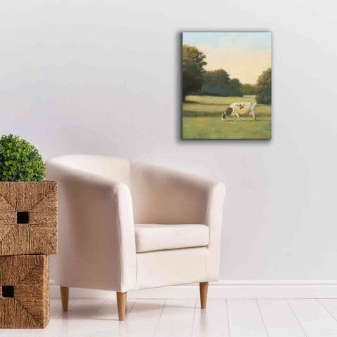 Image of 'Morning Meadows I' by James Wiens, Canvas Wall Art,20 x 24