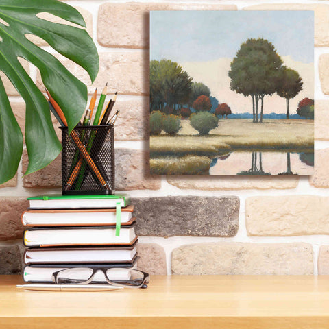 Image of 'By the Waterways II' by James Wiens, Canvas Wall Art,12 x 12