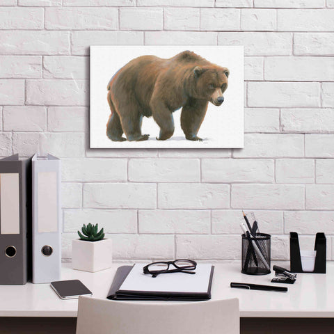 Image of 'Northern Wild I' by James Wiens, Canvas Wall Art,18 x 12