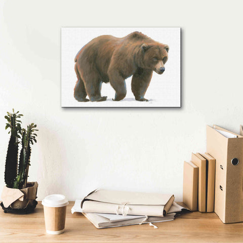 Image of 'Northern Wild I' by James Wiens, Canvas Wall Art,18 x 12