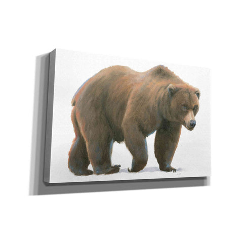 Image of 'Northern Wild I' by James Wiens, Canvas Wall Art,18x12x1.1x0,26x18x1.1x0,40x26x1.74x0,60x40x1.74x0