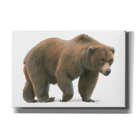Image of 'Northern Wild I' by James Wiens, Canvas Wall Art,18x12x1.1x0,26x18x1.1x0,40x26x1.74x0,60x40x1.74x0