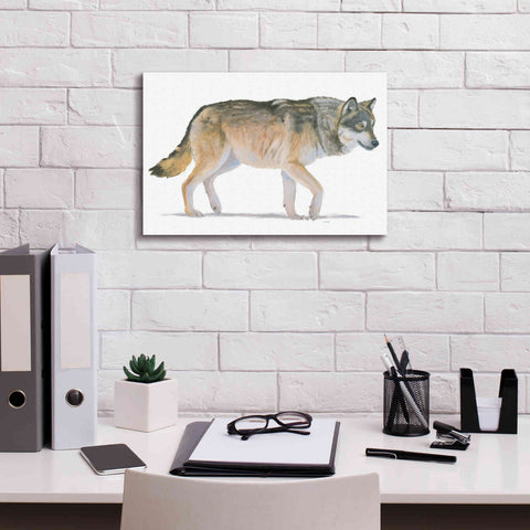 Image of 'Northern Wild II' by James Wiens, Canvas Wall Art,18 x 12