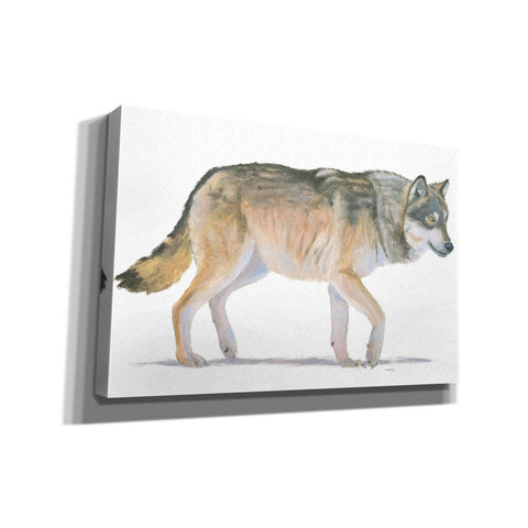 Image of 'Northern Wild II' by James Wiens, Canvas Wall Art,18x12x1.1x0,26x18x1.1x0,40x26x1.74x0,60x40x1.74x0