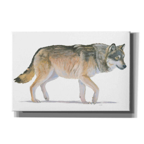 Image of 'Northern Wild II' by James Wiens, Canvas Wall Art,18x12x1.1x0,26x18x1.1x0,40x26x1.74x0,60x40x1.74x0