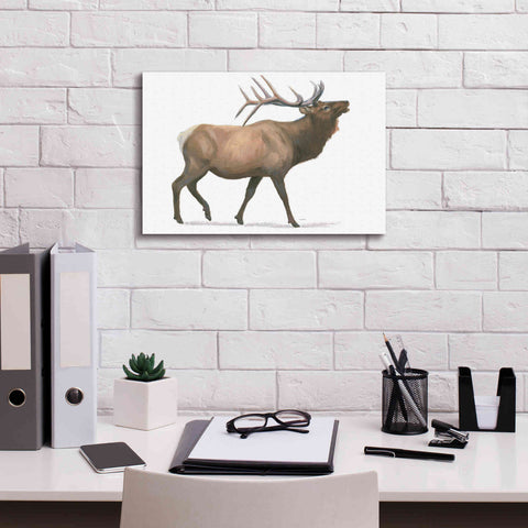 Image of 'Northern Wild III' by James Wiens, Canvas Wall Art,18 x 12