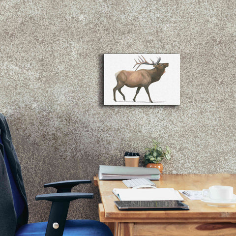 Image of 'Northern Wild III' by James Wiens, Canvas Wall Art,18 x 12