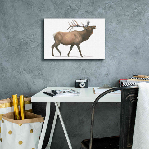 Image of 'Northern Wild III' by James Wiens, Canvas Wall Art,18 x 12