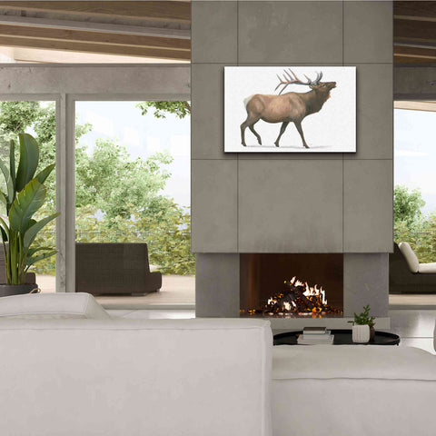 Image of 'Northern Wild III' by James Wiens, Canvas Wall Art,40 x 26