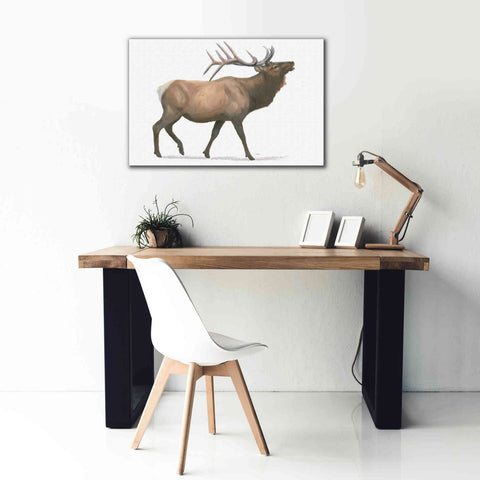 Image of 'Northern Wild III' by James Wiens, Canvas Wall Art,40 x 26