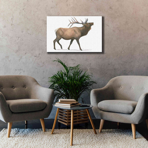 Image of 'Northern Wild III' by James Wiens, Canvas Wall Art,40 x 26