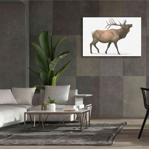 Image of 'Northern Wild III' by James Wiens, Canvas Wall Art,60 x 40