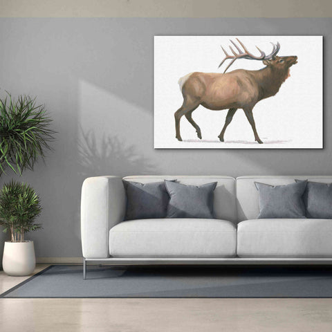 Image of 'Northern Wild III' by James Wiens, Canvas Wall Art,60 x 40