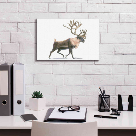 Image of 'Northern Wild IV' by James Wiens, Canvas Wall Art,18 x 12