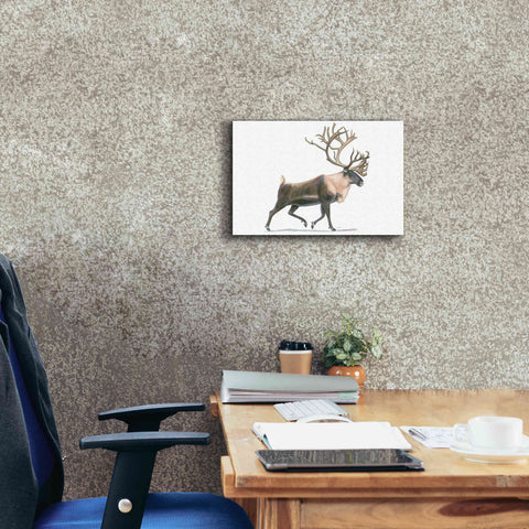 Image of 'Northern Wild IV' by James Wiens, Canvas Wall Art,18 x 12